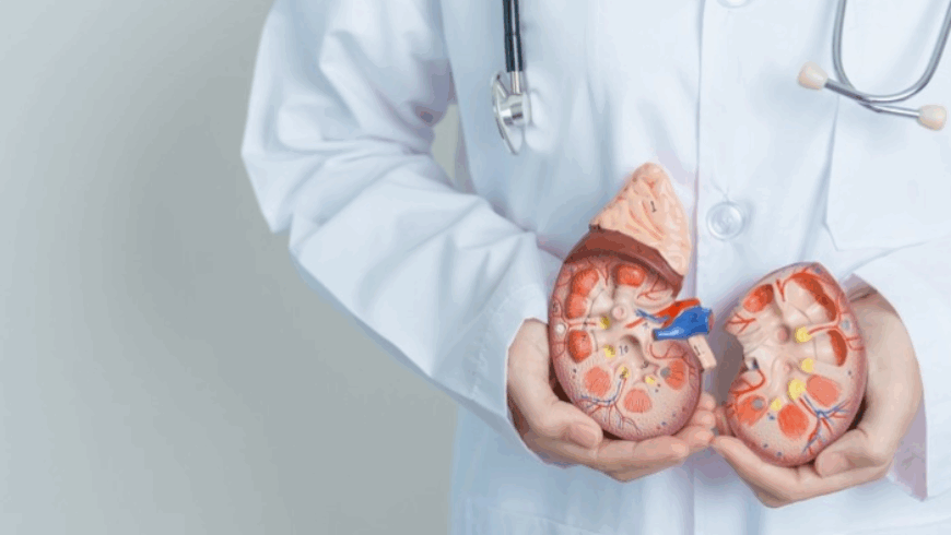 The Difference Between Dialysis and Transplant: A Comprehensive Guide